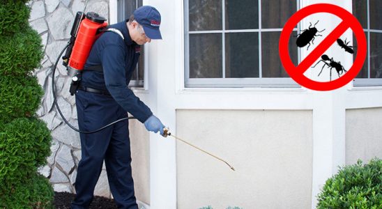 Kilimli Böcek İlaçlama böcek ilaçlama ve haşere kontrolü — ilaclama-tr.com